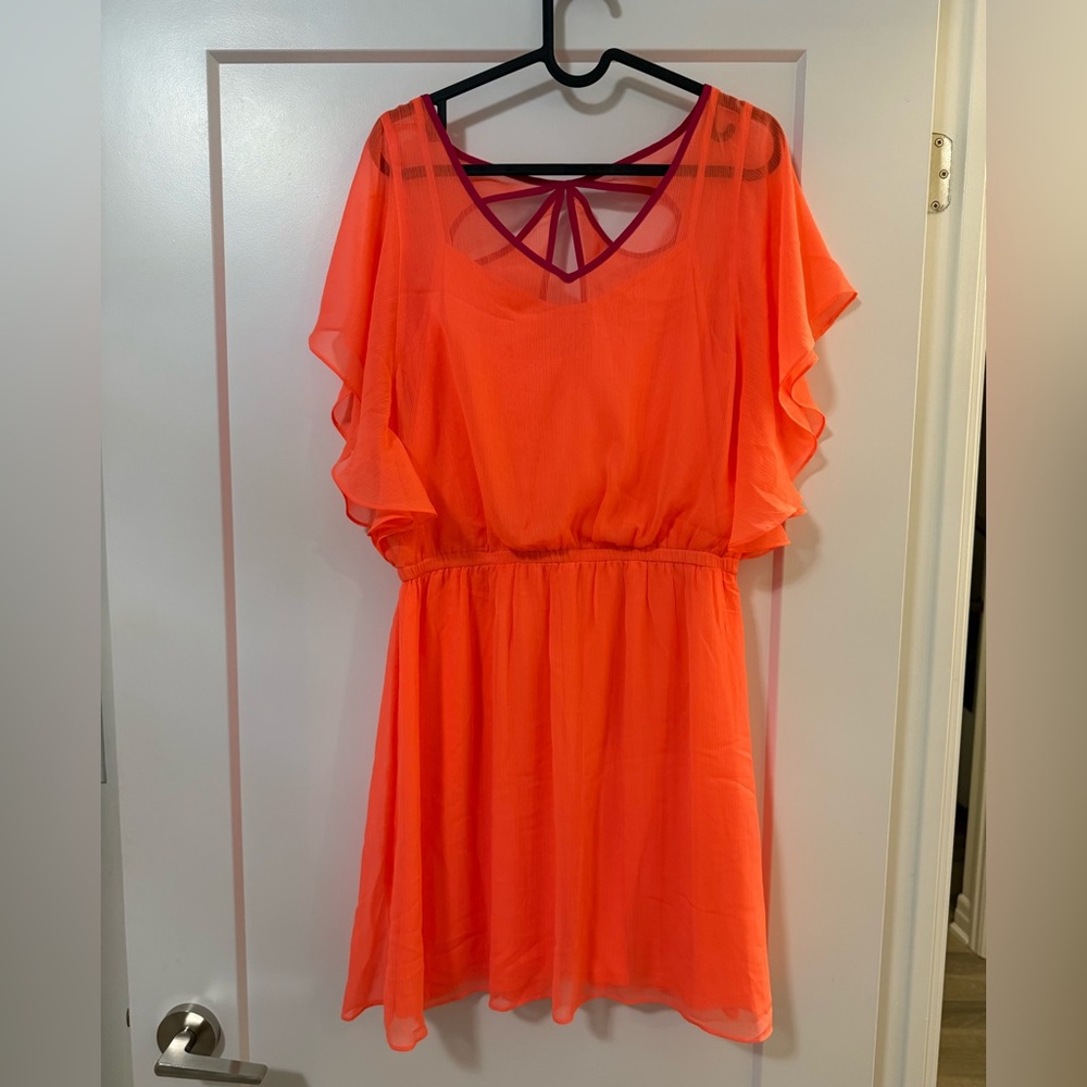 Vibrant Orange Dress with Sheer Sleeves Express